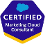 salesforce-marketingcloudconsultant