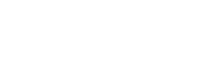 roku